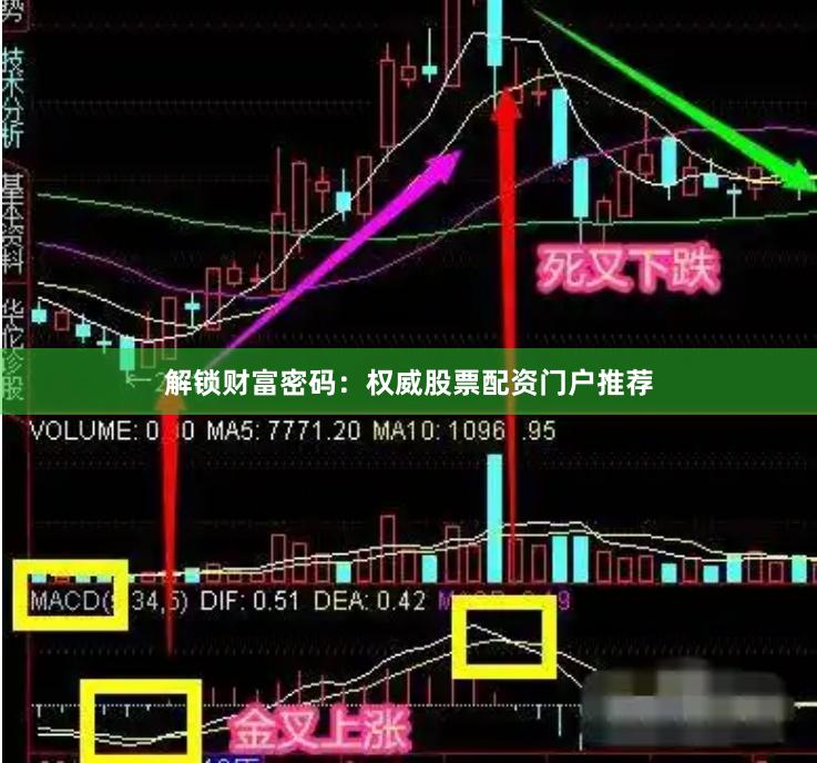 解锁财富密码：权威股票配资门户推荐